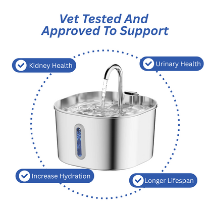 Happy Hydration Triple Filtered Water Fountain